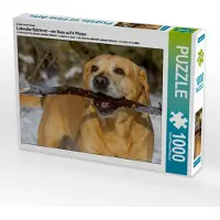 CALVENDO Ein Motiv aus dem Kalender Labrador Retriever - ein Herz auf 4 Pfoten 1000 Teile Puzzle quer 640x480mm, N N; 7355521