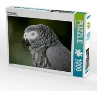 CALVENDO Graupapagei 1000 Teile Puzzle quer 640x480mm, Berg Martina; 7380695
