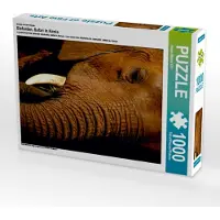 CALVENDO Ein Motiv aus dem Kalender Elefanten. Safari in Kenia 1000 Teile Puzzle hoch 480x640mm, Michel /CH Susan; 7289201