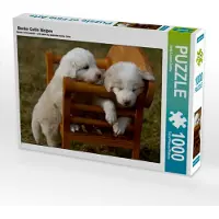 CALVENDO Border Collie Welpen 1000 Teile Puzzle quer 640x480mm, Lindert-Rottke Antje; 7335276
