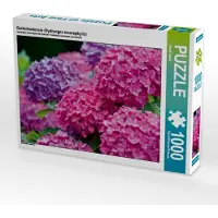 CALVENDO Gartenhortensie (Hydrangea macrophylla) 1000 Teile Puzzle quer 640x480mm, Keller Bernd; 7326155