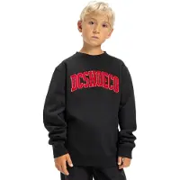 Dc-shoes Sweatshirt "Varsity"