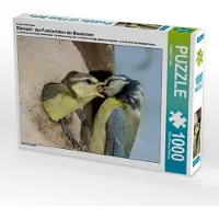 CALVENDO Ein Motiv aus dem Kalender Elternzeit - das Familienleben der Blaumeisen 1000 Teile Puzzle quer 640x480mm, T. Frank Roland; 7381747