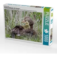 CALVENDO Ein Motiv aus dem Kalender Emotionale Momente: Die Graugans. 1000 Teile Puzzle quer 640x480mm, Gerlach Ingo; 7317926