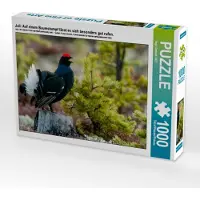 CALVENDO Juli: Auf einem Baumstumpf lässt es sich besonders gut rufen. 1000 Teile Puzzle quer 640x480mm, Gerlach GDT Ingo; 7312010