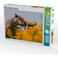 CALVENDO Pferd und Mensch in Harmonie 1000 Teile Puzzle quer 640x480mm, Bölts Meike; 7325505