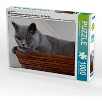 CALVENDO Ein Motiv aus dem Kalender Bärige Schmusetiger - Britisch Kurzhaar / CH-Version 1000 Teile Puzzle quer 640x480mm, Zimmermann-Probst Inge; 7360429