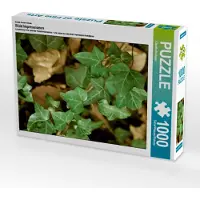 CALVENDO Ein Motiv aus dem Kalender Wald Impressionen 1000 Teile Puzzle hoch 480x640mm, Burlager Claudia; 7275647