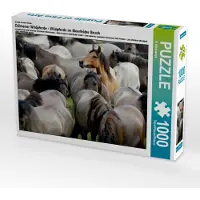 CALVENDO Ein Motiv aus dem Kalender Dülmener Wildpferde - Wildpferde im Meerfelder Bruch 1000 Teile Puzzle quer 640x480mm, Mielewczyk B.; 7435480