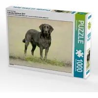 CALVENDO Ein Motiv aus dem Kalender Labrador Retriever 2017 1000 Teile Puzzle quer 640x480mm, Redecker Andrea; 7366831