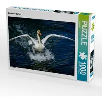 CALVENDO Schwanen Surfen 1000 Teile Puzzle quer 640x480mm, ; 7315373