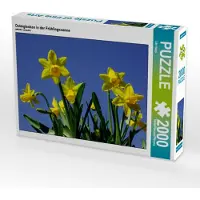 CALVENDO Osterglocken in der Frühlingssonne 2000 Teile Puzzle quer 900x670mm, Kapp Lilo; 7394349