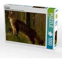 CALVENDO Ein Motiv aus dem Kalender Samtpfoten 1000 Teile Puzzle quer 640x480mm, Klatt Arno; 7292484