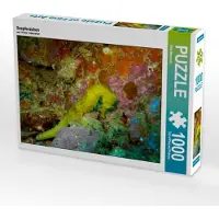 CALVENDO Seepferdchen 1000 Teile Puzzle quer 640x480mm, Meutzner Dirk; 7312397