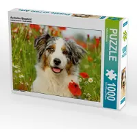CALVENDO Australian Shepherd 1000 Teile Puzzle quer 640x480mm, Köntopp Kathrin; 7405263