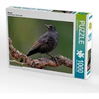 CALVENDO Amsel 1000 Teile Puzzle quer 640x480mm, Wilczek Dieter-M.; 7318941