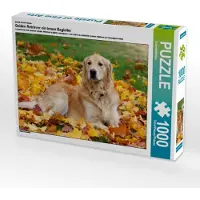 CALVENDO Ein Motiv aus dem Kalender Golden Retriever ein treuer Begleiter 1000 Teile Puzzle quer 640x480mm, ; 7287789