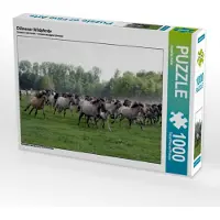 CALVENDO Dülmener Wildpferde 1000 Teile Puzzle quer 640x480mm, Keller Angelika; 7302243