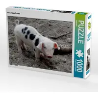 CALVENDO Rosarotes Ferkel 1000 Teile Puzzle quer 640x480mm, ; 7312272
