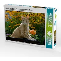 CALVENDO Neugierige rot getigerter Katze in einem blühenden Garten 2000 Teile Puzzle quer 900x670mm, Menden Katho; 7405672