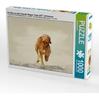 CALVENDO Ein Bild aus dem Kalender Magyar Vizsla 2017 / UK-Version 1000 Teile Puzzle quer 640x480mm, Redecker Andrea; 7367165