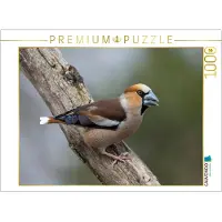 CALVENDO Puzzle Kernbeißer | 1000 Teile Lege-Größe 64 × 48 cm Foto-Puzzle für glückliche Stunden