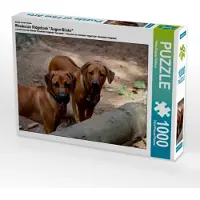 CALVENDO Ein Motiv aus dem Kalender Rhodesian Ridgeback "Augen-Blicke" 1000 Teile Puzzle quer 640x480mm, Dagmar Behrens Petra; 7362129