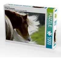 CALVENDO Ein Motiv aus dem Kalender Haflinger Schönheiten 1000 Teile Puzzle quer 640x480mm, Dünisch - www.Ramona-Duenisch.; 7338248