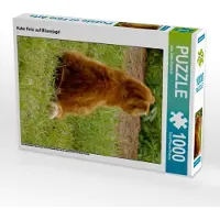 CALVENDO Kater Felix auf Mäusejagd 1000 Teile Puzzle hoch 480x640mm, Thiem-Eberitsch Jana; 7347557