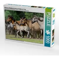 CALVENDO Dülmener Wildpferde Herde mit Fohlen im Trab 1000 Teile Puzzle quer 640x480mm, Menden Katho; 7324450