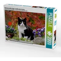CALVENDO Schwarz-weiße Katze im blühenden Garten 2000 Teile Puzzle quer 900x670mm, Menden Katho; 7396478