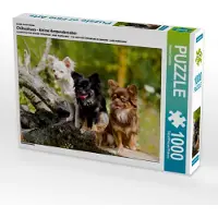 CALVENDO Ein Motiv aus dem Kalender Chihuahuas - kleine Herzensbrecher 1000 Teile Puzzle quer 640x480mm, Scholze Verena; 7371342
