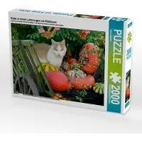 CALVENDO Katze in einem Leiterwagen mit Kürbissen 2000 Teile Puzzle quer 900x670mm, Menden Katho; 7396484
