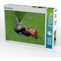 CALVENDO Schnecken Liebe 1000 Teile Puzzle quer 640x480mm, ; 7304368