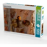CALVENDO Niedliche Tierporträts 1000 Teile Puzzle hoch 480x640mm, Hein Christina; 7423976