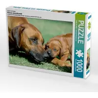 CALVENDO Ein Motiv aus dem Kalender Kleine Löwenhunde 1000 Teile Puzzle quer 640x480mm, van Wyk - www.germanpix.net An; 7296273