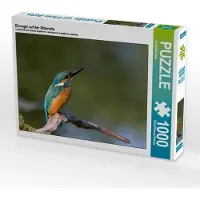 CALVENDO Eisvogel auf der Sitzwarte 1000 Teile Puzzle quer 640x480mm, Di Chito Ursula; 7339956