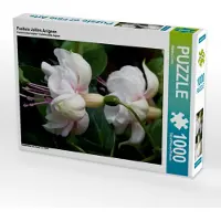 CALVENDO Fuchsie Jollies Avignon 1000 Teile Puzzle hoch 480x640mm, Cross Martina; 7328531