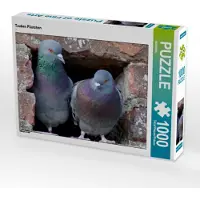 CALVENDO Tauben Päarchen 1000 Teile Puzzle quer 640x480mm, ; 7303832