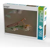 CALVENDO Eine Schönheit 1000 Teile Puzzle hoch 480x640mm, ; 7336906