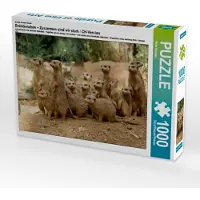 CALVENDO Ein Motiv aus dem Kalender Erdmännchen – Zusammen sind wir stark / CH-Version 1000 Teile Puzzle quer 640x480mm, Hebgen Peter; 7365635