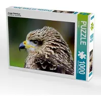 CALVENDO Junger Rotmilan 1000 Teile Puzzle quer 640x480mm, Klatt Arno; 7319315