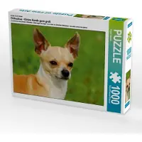 CALVENDO Ein Motiv aus dem Kalender Chihuahua - Kleine Hunde ganz groß 1000 Teile Puzzle quer 640x480mm, Starick Sigrid; 7355149