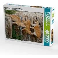 CALVENDO Drei rotgetigerte Katzen auf einer Treppe 2000 Teile Puzzle hoch 670x900mm, Menden Katho; 7396903