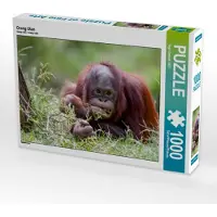 CALVENDO Orang Utan 1000 Teile Puzzle quer 640x480mm, Gerlach GDT Ingo; 7312971