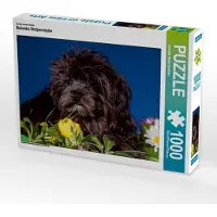 CALVENDO Ein Motiv aus dem Kalender Bolonka Welpenstube 1000 Teile Puzzle quer 640x480mm, Wejat-Zaretzke Gabriela; 7277060