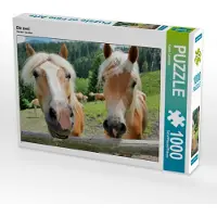 CALVENDO Die zwei 1000 Teile Puzzle quer 640x480mm, Lantzsch Katrin; 7453454