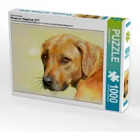 CALVENDO Ein Motiv aus dem Kalender Rhodesian Ridgeback 2017 1000 Teile Puzzle quer 640x480mm, Redecker Andrea; 7366776