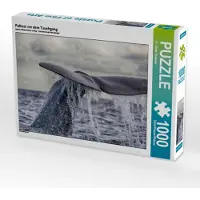 CALVENDO Pottwal vor dem Tauchgang 1000 Teile Puzzle quer 640x480mm, Oliver Schwenn Dr.; 7370958