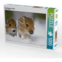 CALVENDO Frischlinge im Schnee 1000 Teile Puzzle quer 640x480mm, Martin Wilfried; 7334666
